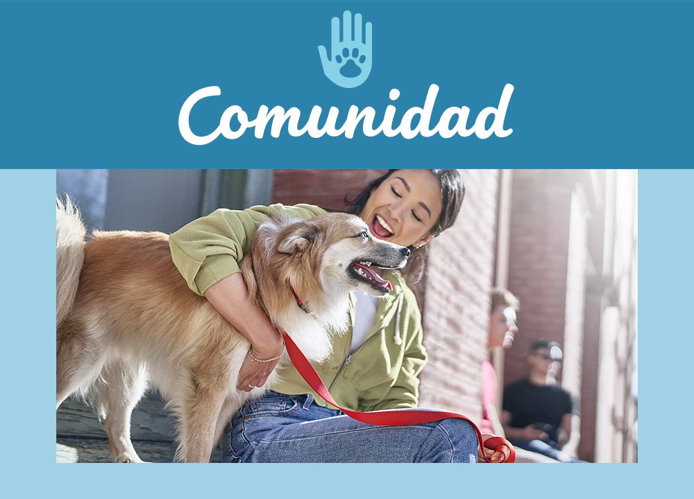 Imagen sobre comunidad Imagen sobre comunidad