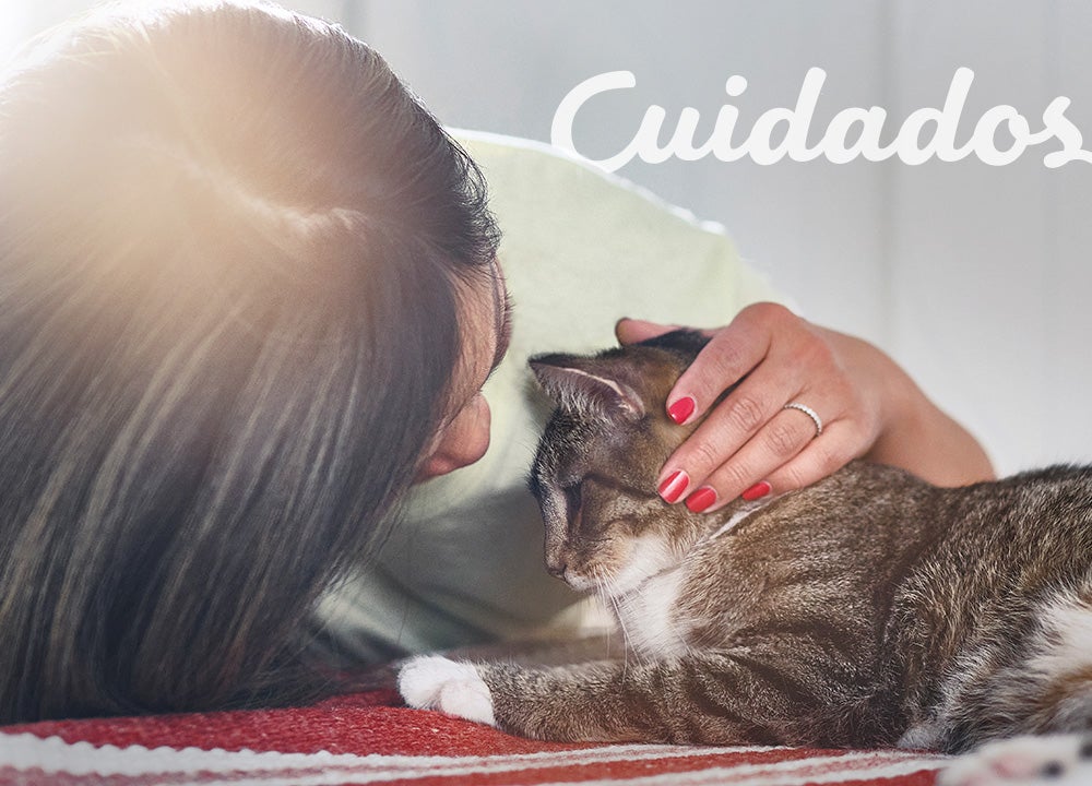 Imagen sobre cuidados Imagen sobre cuidados
